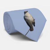 モッキンバードタイ ネクタイ (ロール)