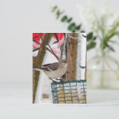 モッキンバード ポストカード (スタンド正面)