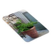 モックオレンジ マグネット (右側)