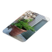 モックオレンジ マグネット (左側)