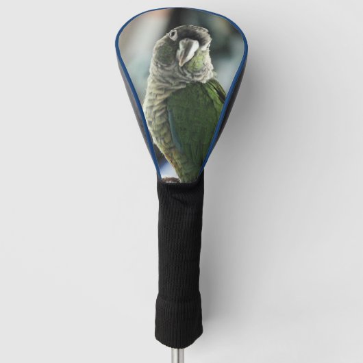 モックヘッジホッグはもうない ゴルフヘッドカバー (正面)