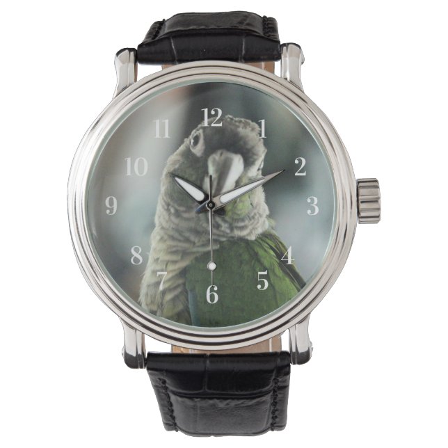 モックヘッジホッグはもうない 腕時計 (正面)