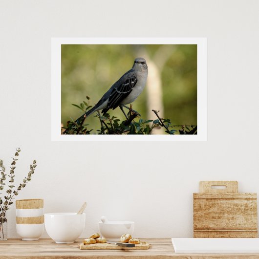 モック鳥 ポスター (キッチン)