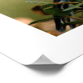 モック鳥 ポスター (角)