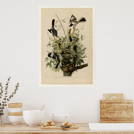 モック鳥 ポスター (キッチン)