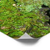 モッシーなログポスターに紫のキノコ ポスター (角)