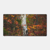 モッシーな森の秋の樺の木 デスクマット (正面)