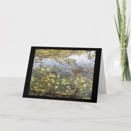 モッシーな池グリーティングカード カード (正面)