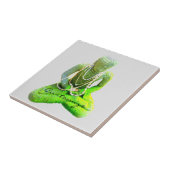 モッシーめい想グリーンブッダのサンダー_コーブ タイル (側面)