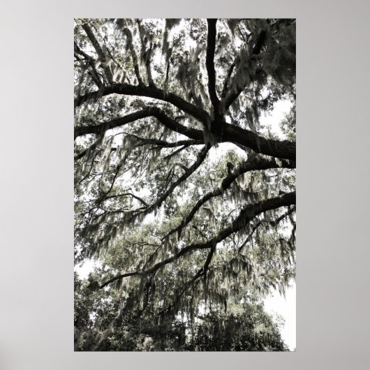 モッシー質感1 ポスター (正面)