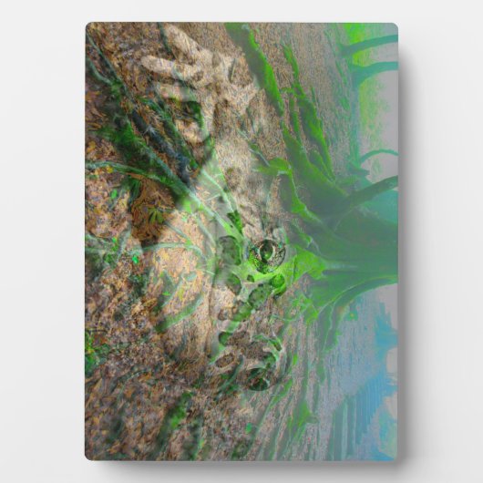 モッシー・カエル フォトプラーク (正面)