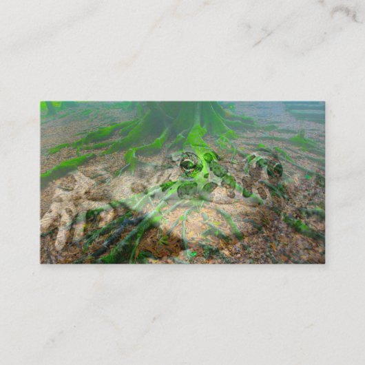 モッシー・カエル 名刺 (正面)