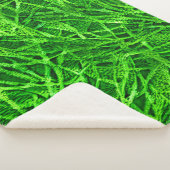 モッシー・グラス シェルパブランケット (3/4)