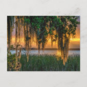 モッシー・サンライズ ポストカード (正面)