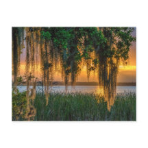 モッシー・サンライズ