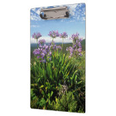 モッセル湾、アフリカユリ（アガパンサス·プラエコックス） クリップボード (左)