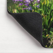 モッセル湾、アフリカユリ（アガパンサス·プラエコックス） マウスパッド (コーナー)