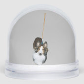 モップ犬 (正面)