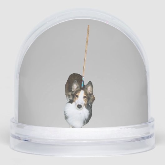 モップ犬 (正面)