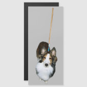 モップ犬 (正面/裏面)