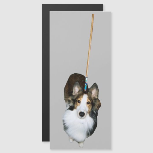 モップ犬 (正面/裏面)