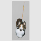 モップ犬 (正面)