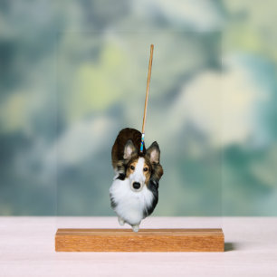モップ犬 アクリルサイン