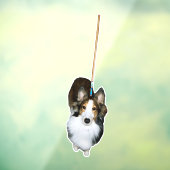 モップ犬 ウィンドウサイン (シート3)