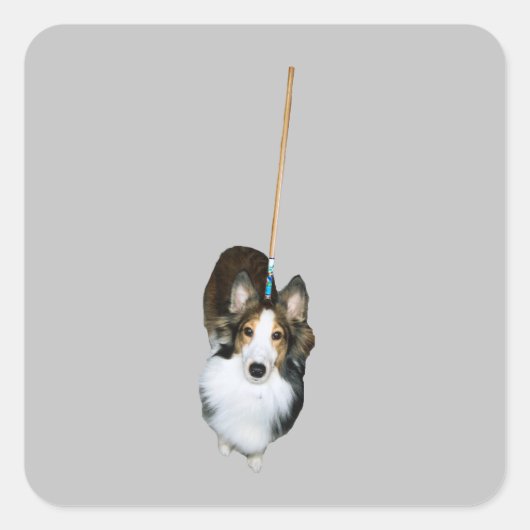 モップ犬 スクエアシール (正面)