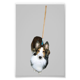 モップ犬 フォトプリント