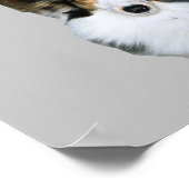 モップ犬 ポスター (角)