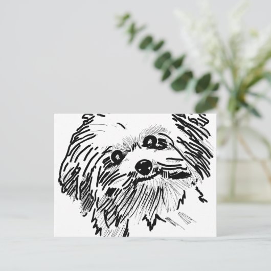 モップ犬 ポストカード (スタンド正面)