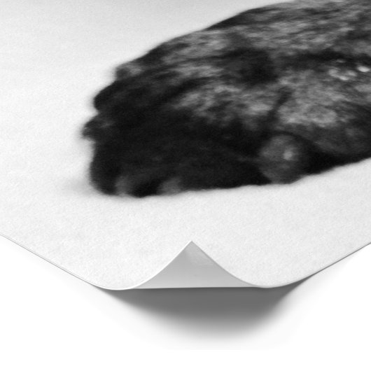 モップ ポスター (角)