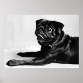 モップ ポスター (正面)