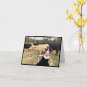 モティルダは「干し草！」と言う。 カード (黄色い花)