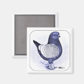 モデナアルジェント マグネット (正面/裏面)