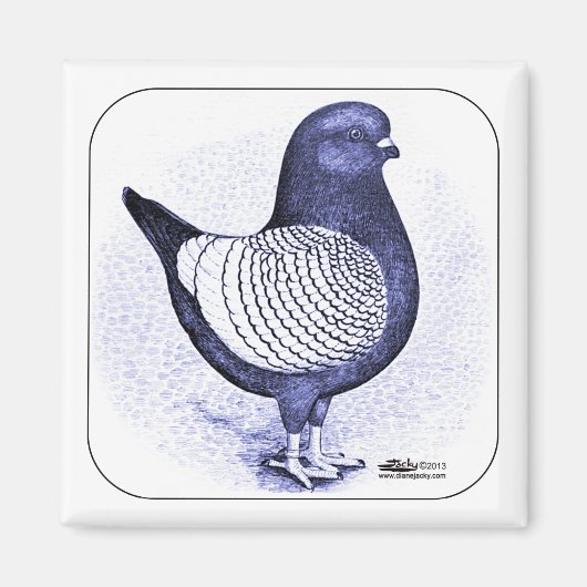 モデナアルジェント マグネット (正面)