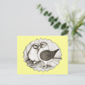 モデナガッツィハト ポストカード (スタンド正面)