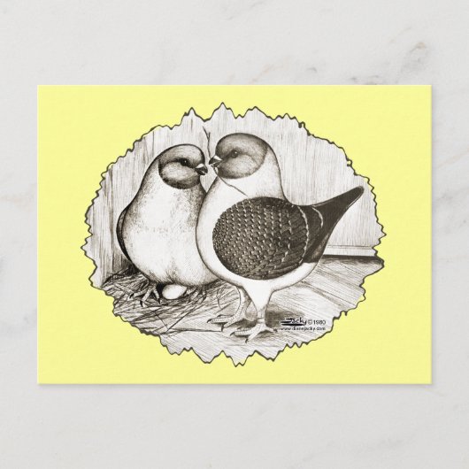 モデナガッツィハト ポストカード (正面)