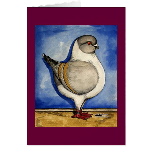 モデナシルバーガッジピジョン (正面)