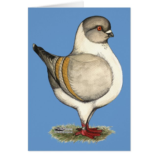 モデナシルバーガッツィ (正面)