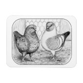 モデナス2 マグネット (横)