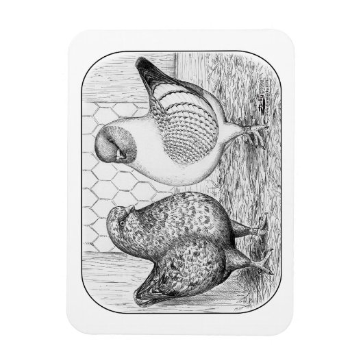 モデナス2 マグネット (縦)