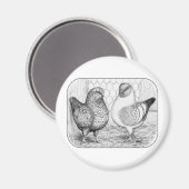 モデナス2 マグネット (正面/裏面)