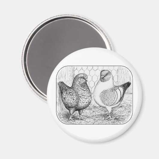 モデナス2 マグネット (正面/裏面)