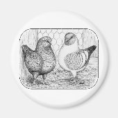 モデナス2 マグネット (正面)