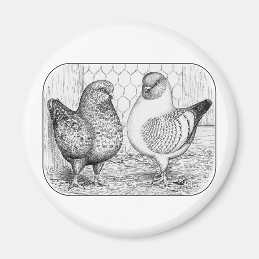 モデナス2 マグネット (正面)