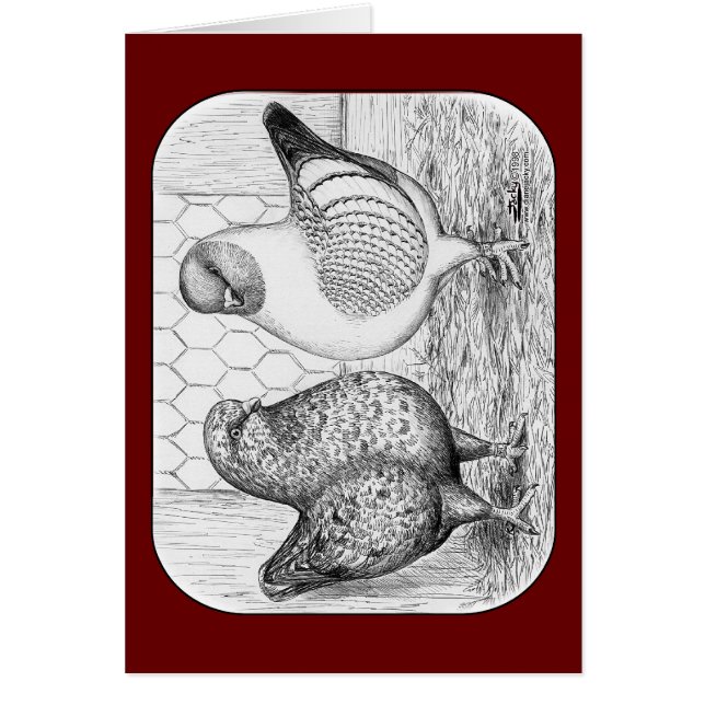 モデナス・ツー・ハト (正面)