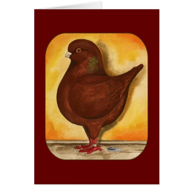 モデナレッドシエティピジョン (正面)