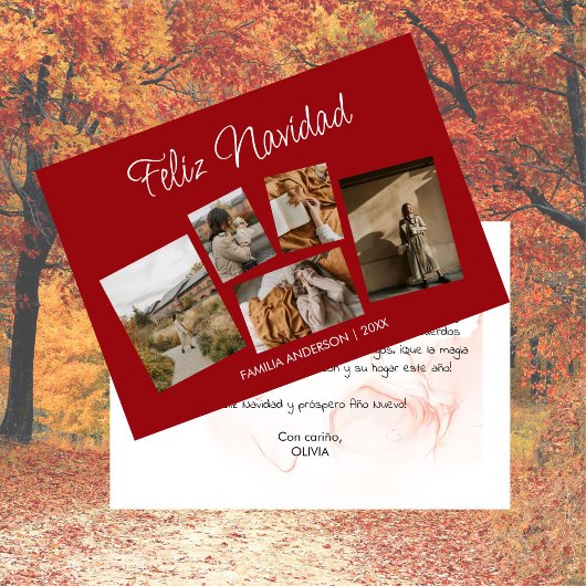 モデナ郵便ナビデナコンコラージュ・ド・フォトス シーズンカード